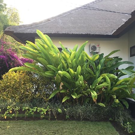 Villa Danison Umeanyar Buitenkant foto